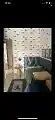 Casa à venda, Sítio de Recreio Ipê, 4 Quartos sendo 3 suites, Goiânia, GO