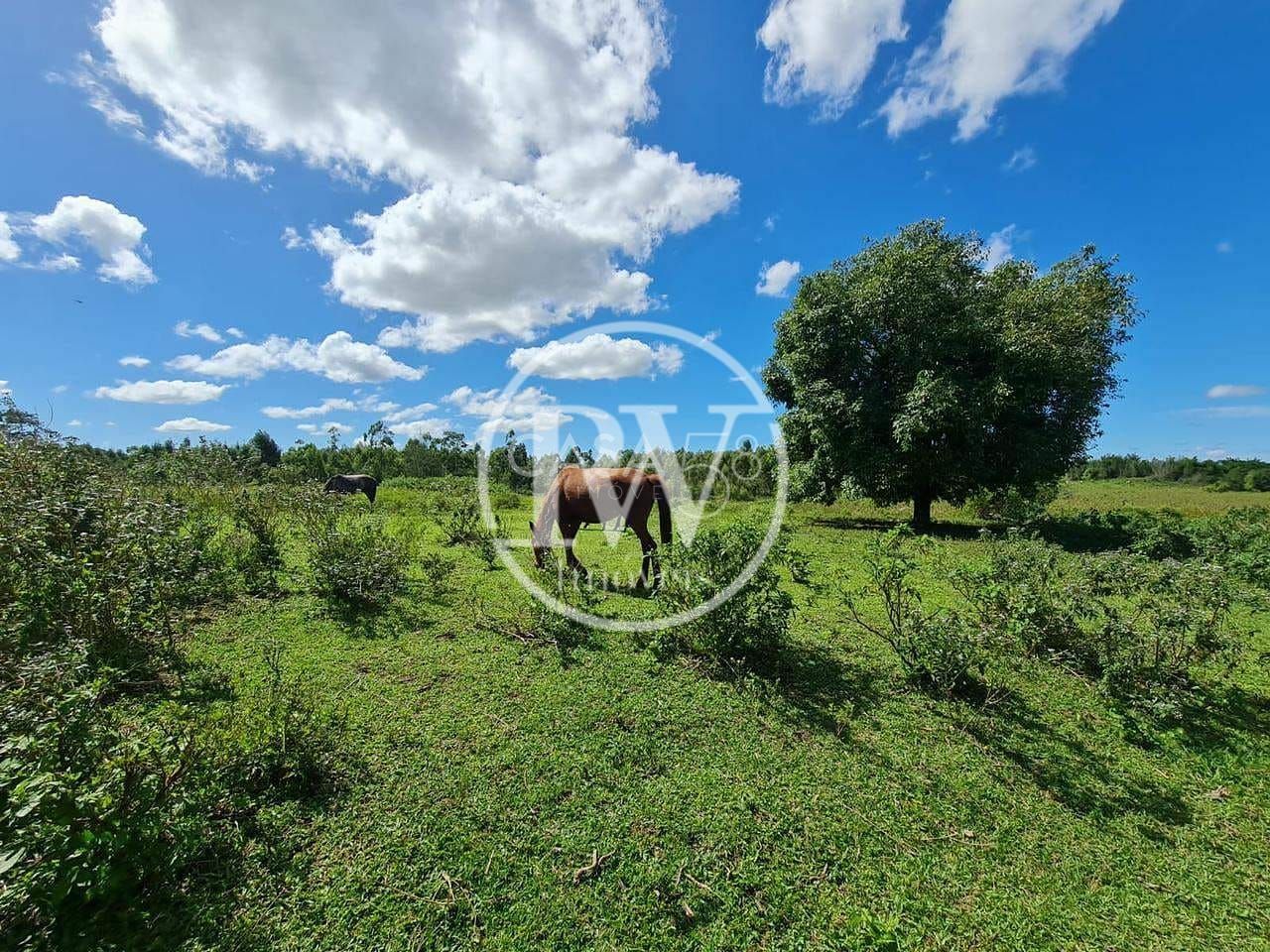 Fazenda Perobas, Araruama 251 Hectares com Vocação Pecuária e Potencial Urbano