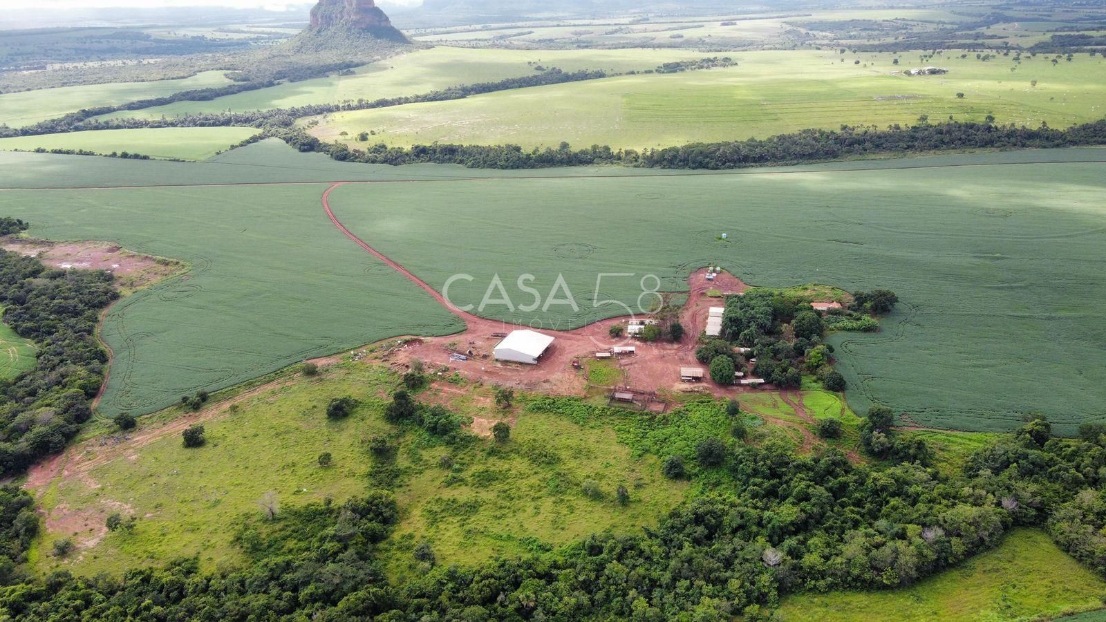 Fazenda de 11.963 ha à Venda em Caiapônia – GO | Alta Produtividade para Grãos