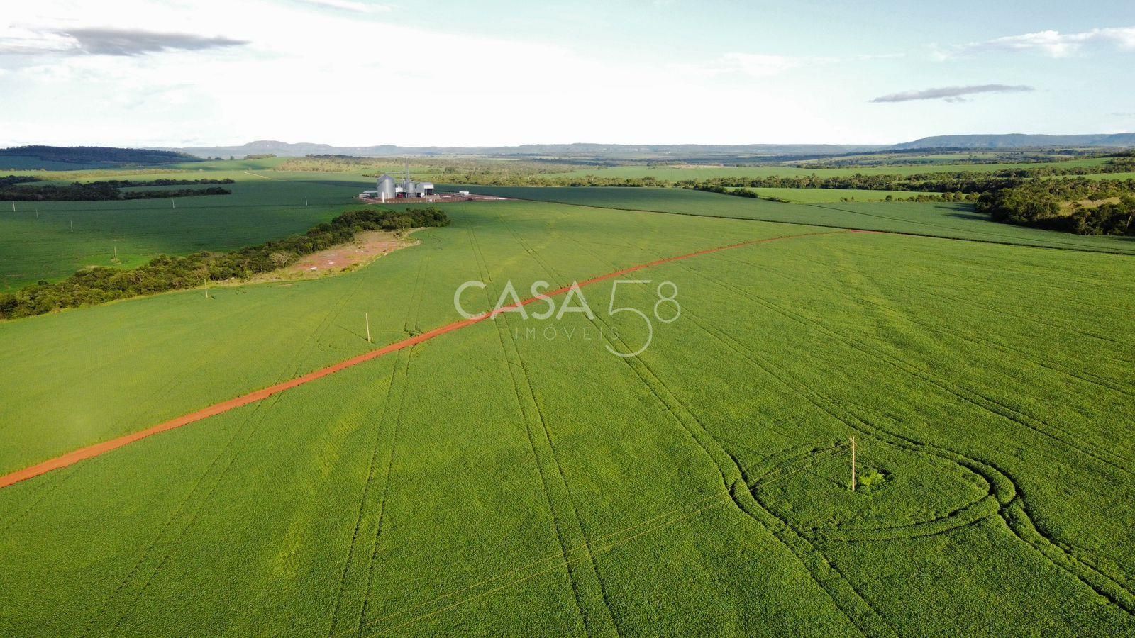 Fazenda de 11.963 ha à Venda em Caiapônia – GO | Alta Produtividade para Grãos