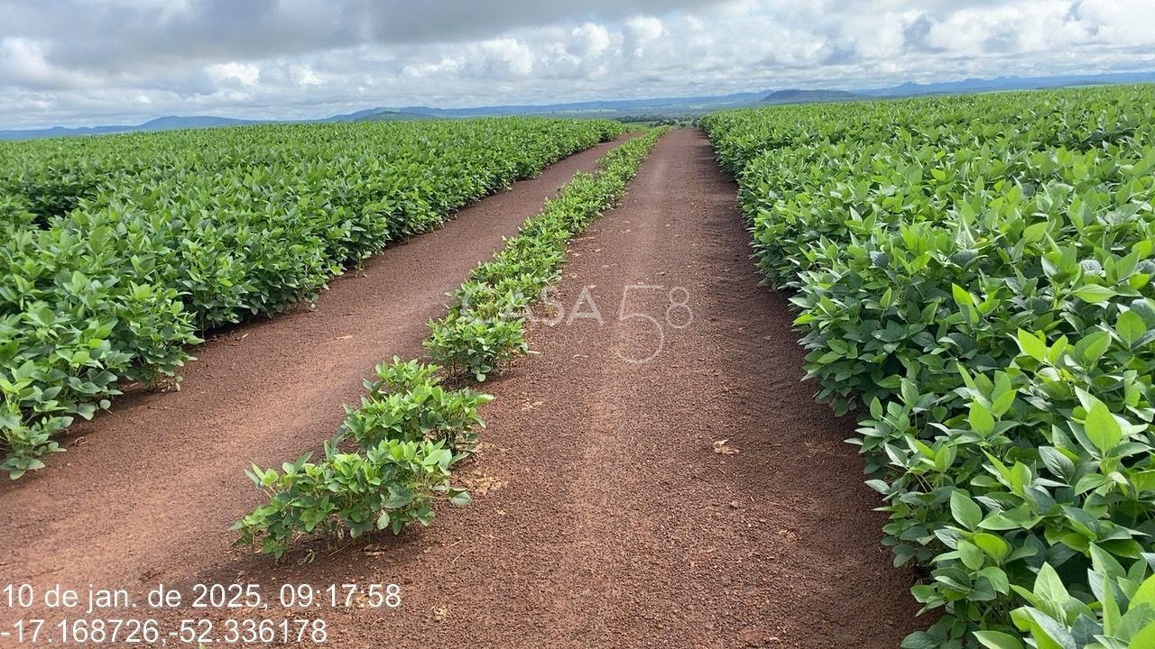 Fazenda de 11.963 ha à Venda em Caiapônia – GO | Alta Produtividade para Grãos
