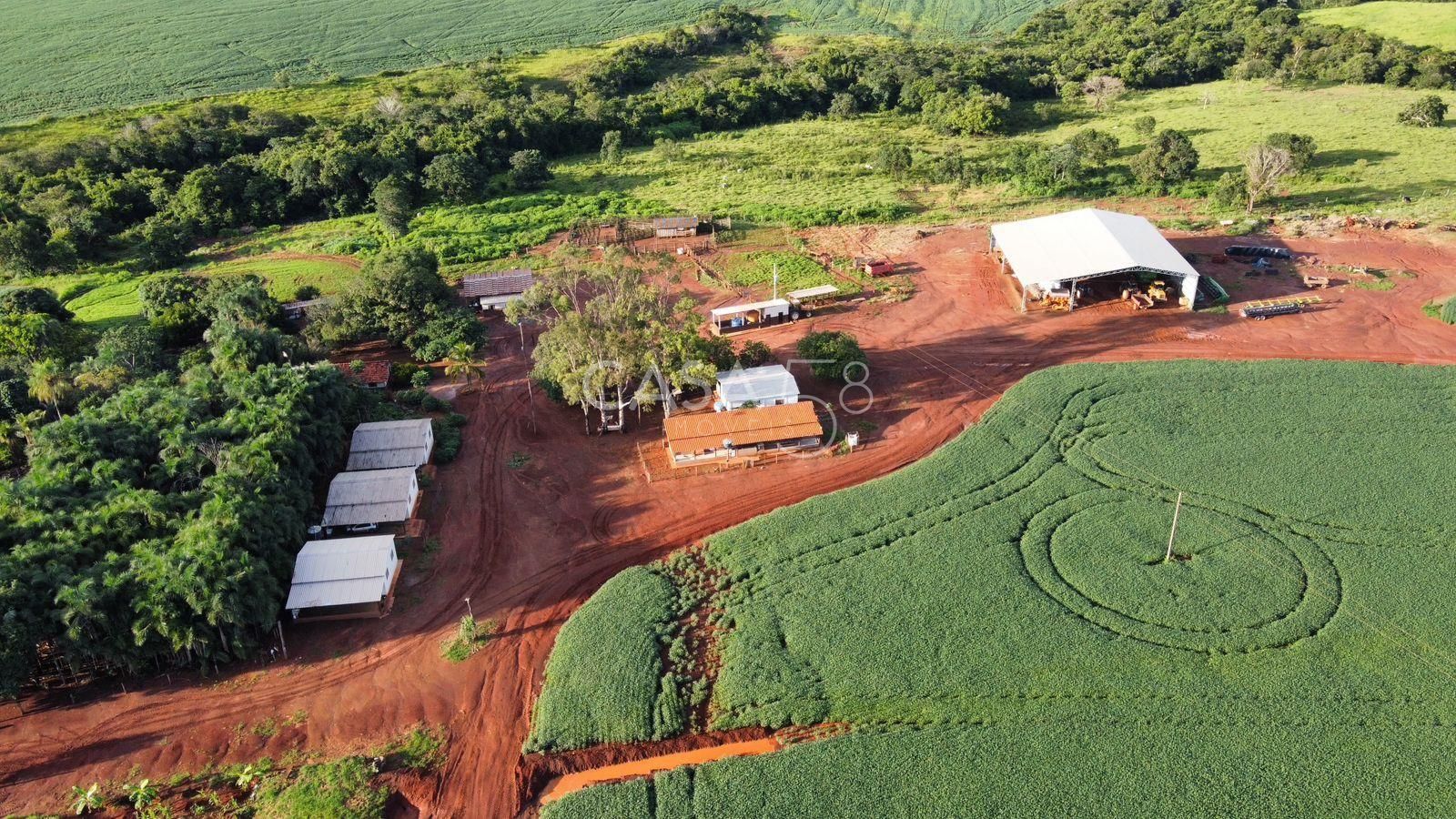 Fazenda de 11.963 ha à Venda em Caiapônia – GO | Alta Produtividade para Grãos