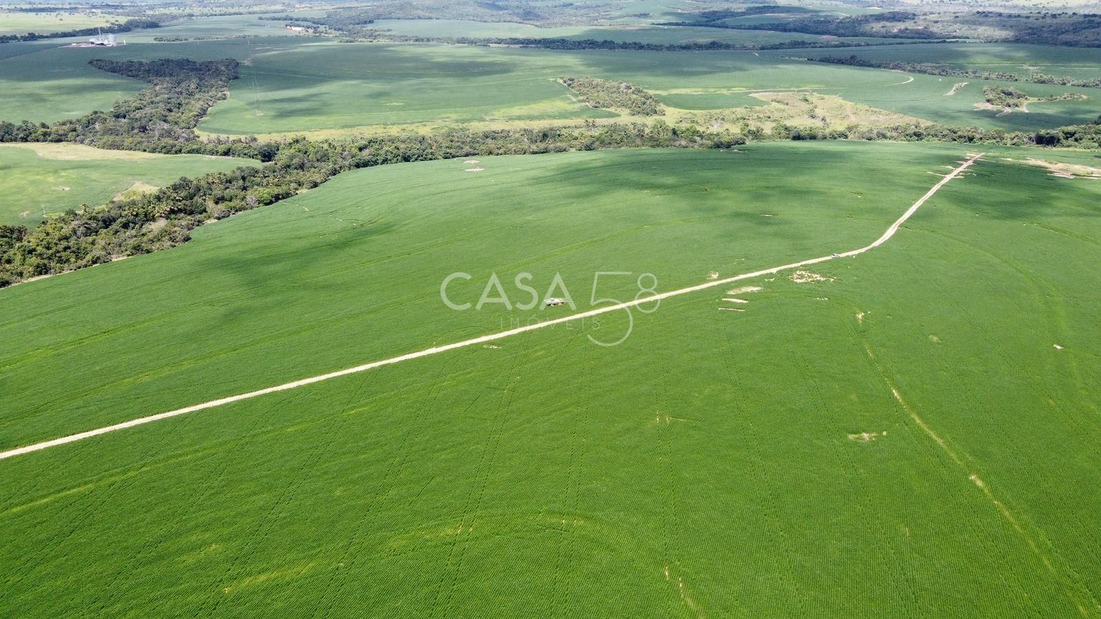 Fazenda de 11.963 ha à Venda em Caiapônia – GO | Alta Produtividade para Grãos