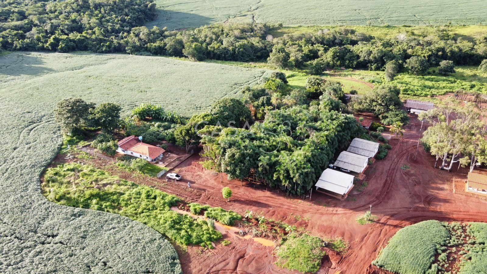 Fazenda de 11.963 ha à Venda em Caiapônia – GO | Alta Produtividade para Grãos