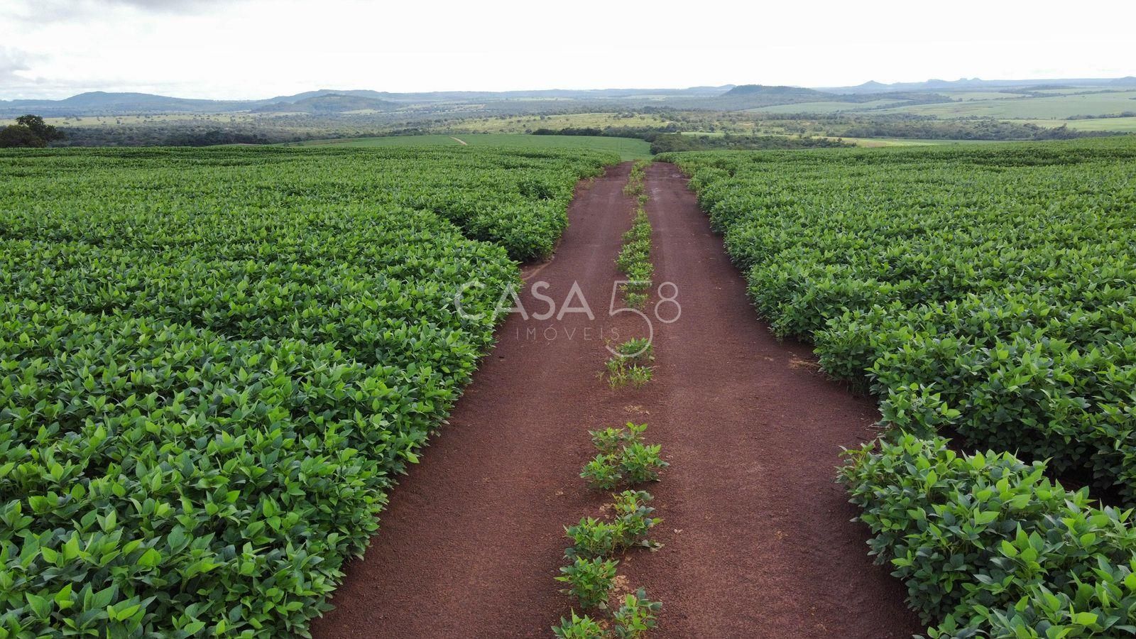 Fazenda de 11.963 ha à Venda em Caiapônia – GO | Alta Produtividade para Grãos