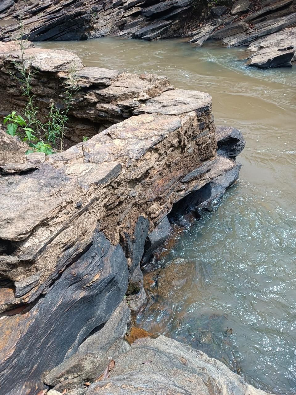 Fazenda à Venda com 36 Alqueires em São Miguel do Passa Quatro – GO