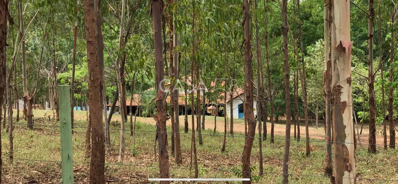 Fazenda à Venda em Bela Vista de Goiás – GO | 35 Alqueires | 25 em Lavoura