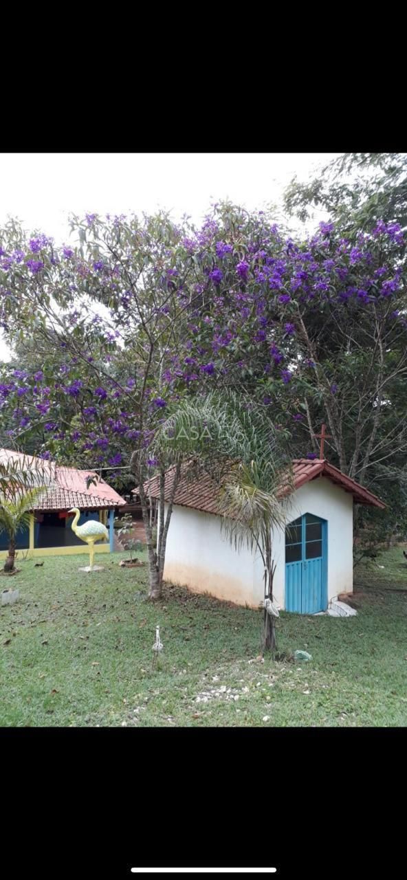Fazenda à Venda em Bela Vista de Goiás – GO | 35 Alqueires | 25 em Lavoura