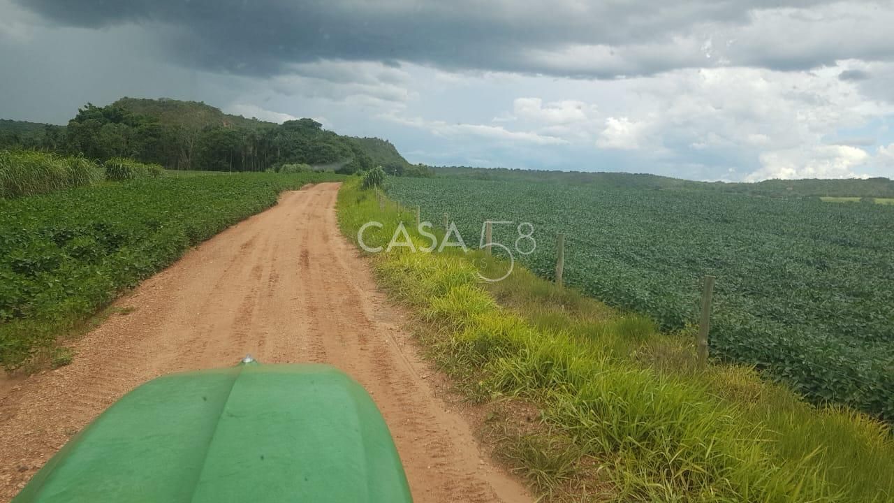 Fazenda à Venda em MineirosGO 126 Alqueires 335 ha em Lavoura Solo de Qualidade