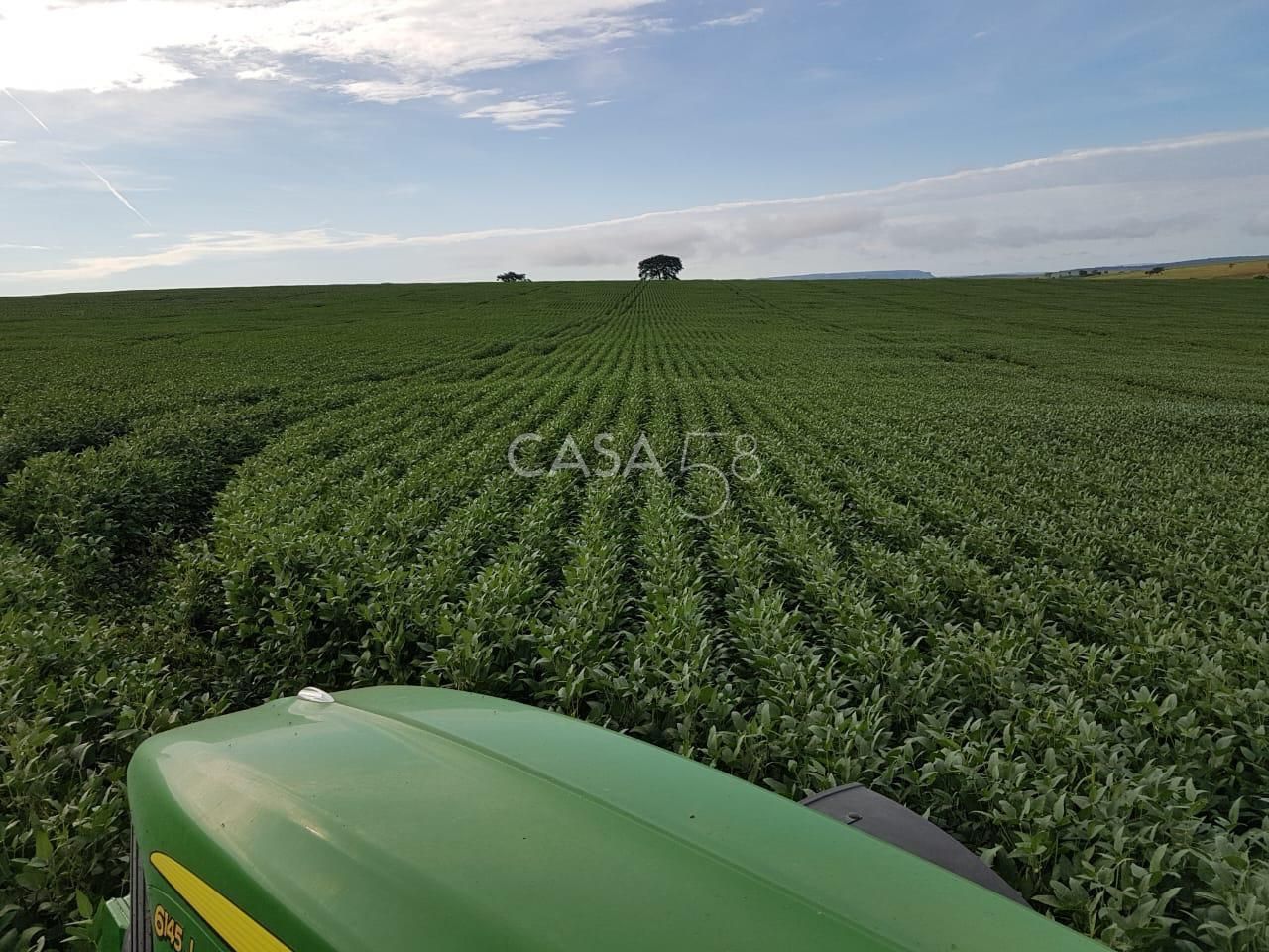 Fazenda à Venda em MineirosGO 126 Alqueires 335 ha em Lavoura Solo de Qualidade