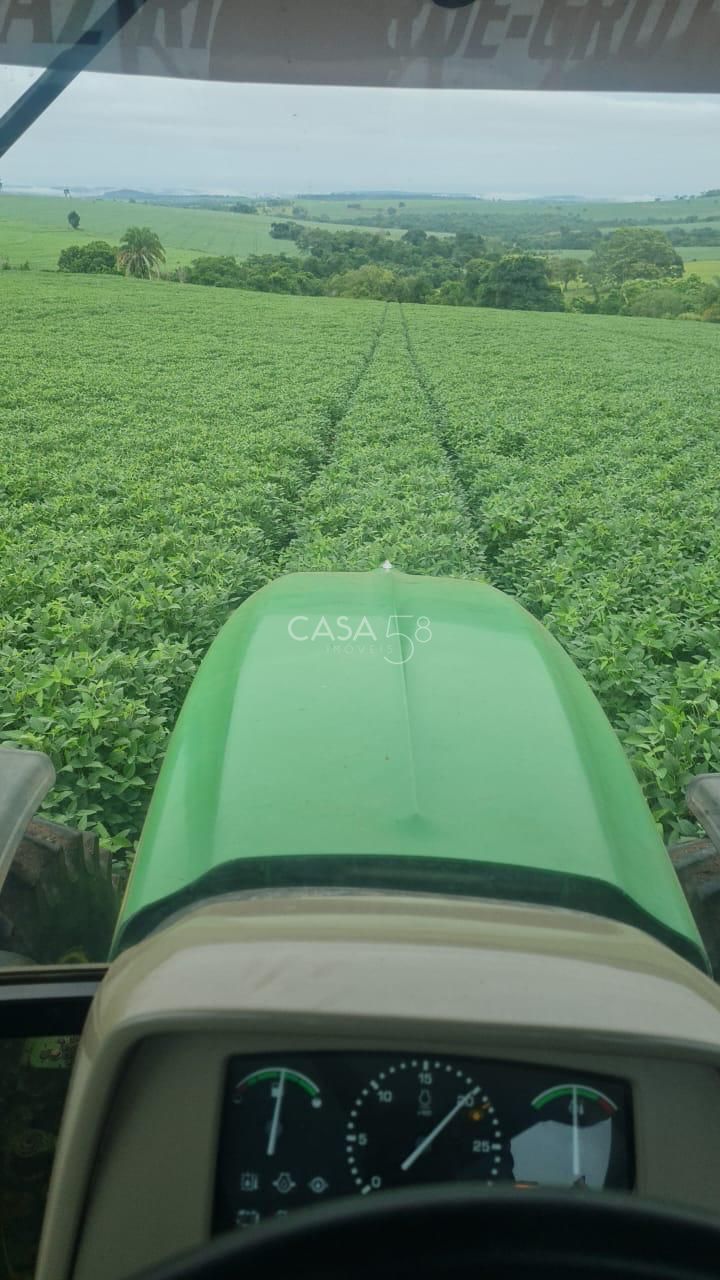 Fazenda à Venda em MineirosGO 126 Alqueires 335 ha em Lavoura Solo de Qualidade