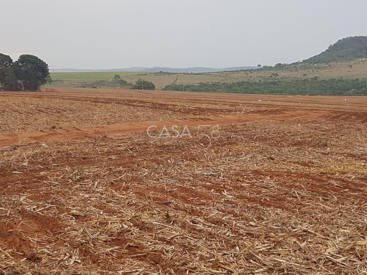 Fazenda à Venda em MineirosGO 126 Alqueires 335 ha em Lavoura Solo de Qualidade