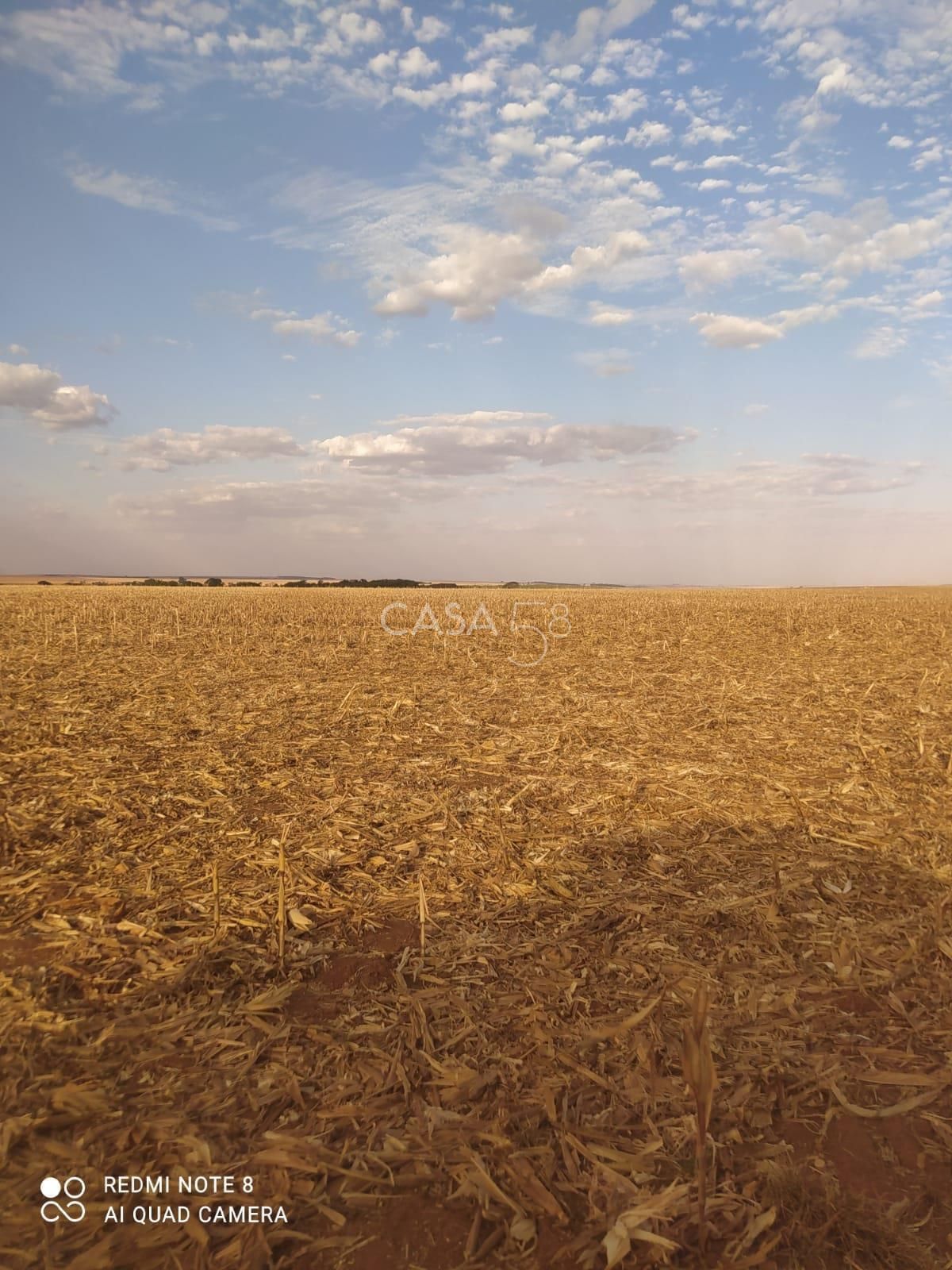Fazenda à Venda em Inhumas-GO – 919,6 Hectares de Potencial Produtivo