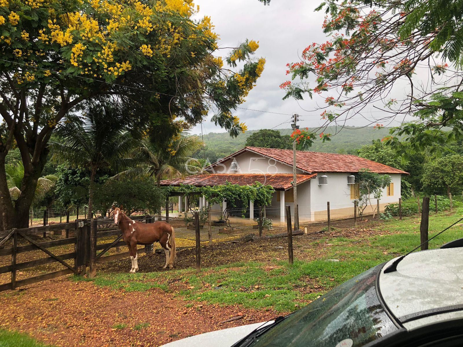 Fazenda à Venda em Marzagão-GO – 240 Alqueires | Pecuária Estruturada