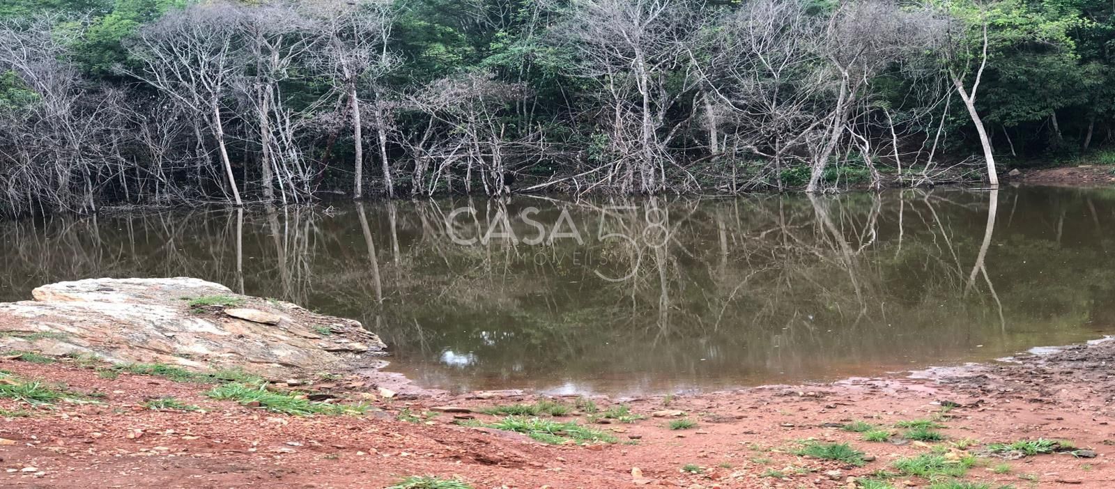 Fazenda à Venda em Marzagão-GO – 240 Alqueires | Pecuária Estruturada