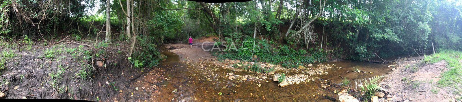 Fazenda à Venda em Marzagão-GO – 240 Alqueires | Pecuária Estruturada