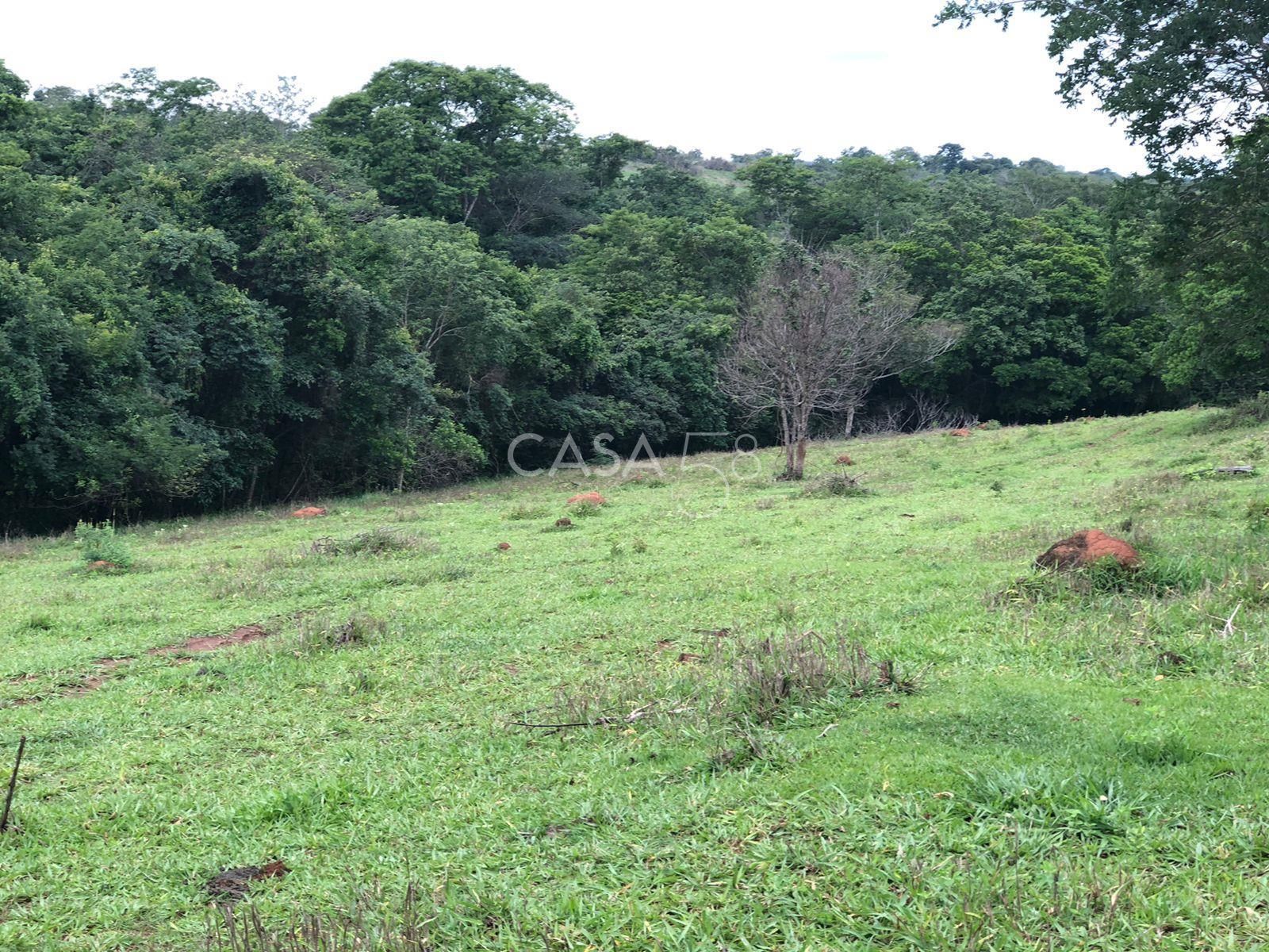 Fazenda à Venda em Marzagão-GO – 240 Alqueires | Pecuária Estruturada