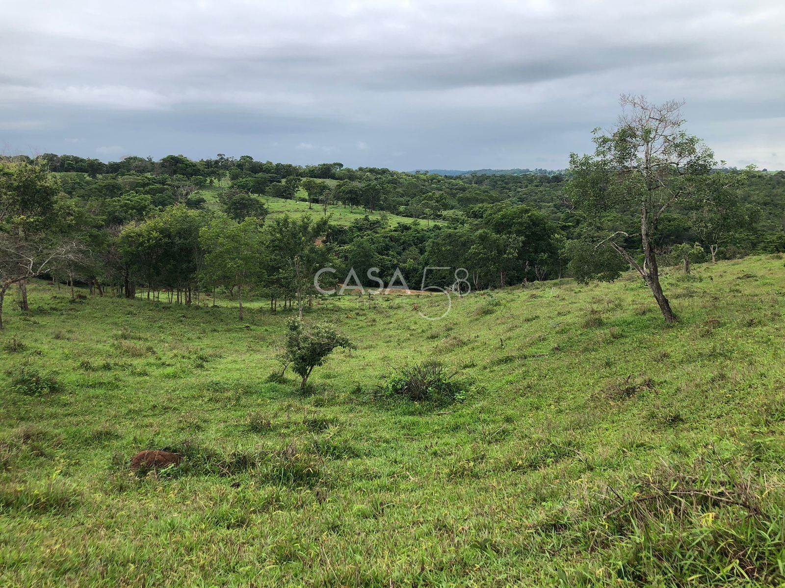 Fazenda à Venda em Marzagão-GO – 240 Alqueires | Pecuária Estruturada