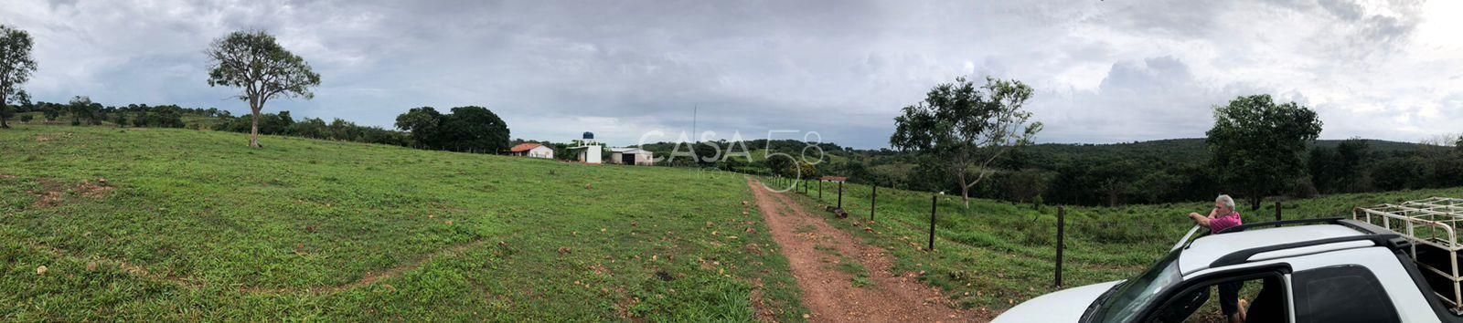 Fazenda à Venda em Marzagão-GO – 240 Alqueires | Pecuária Estruturada