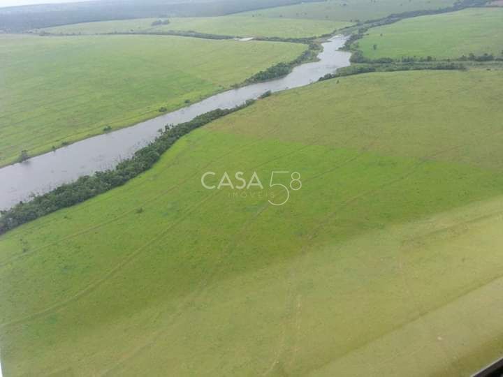 FAZENDA EXCLUSIVA À VENDA – PORTEIRA FECHADA – COCALINHO/MT – 38.420 hectares