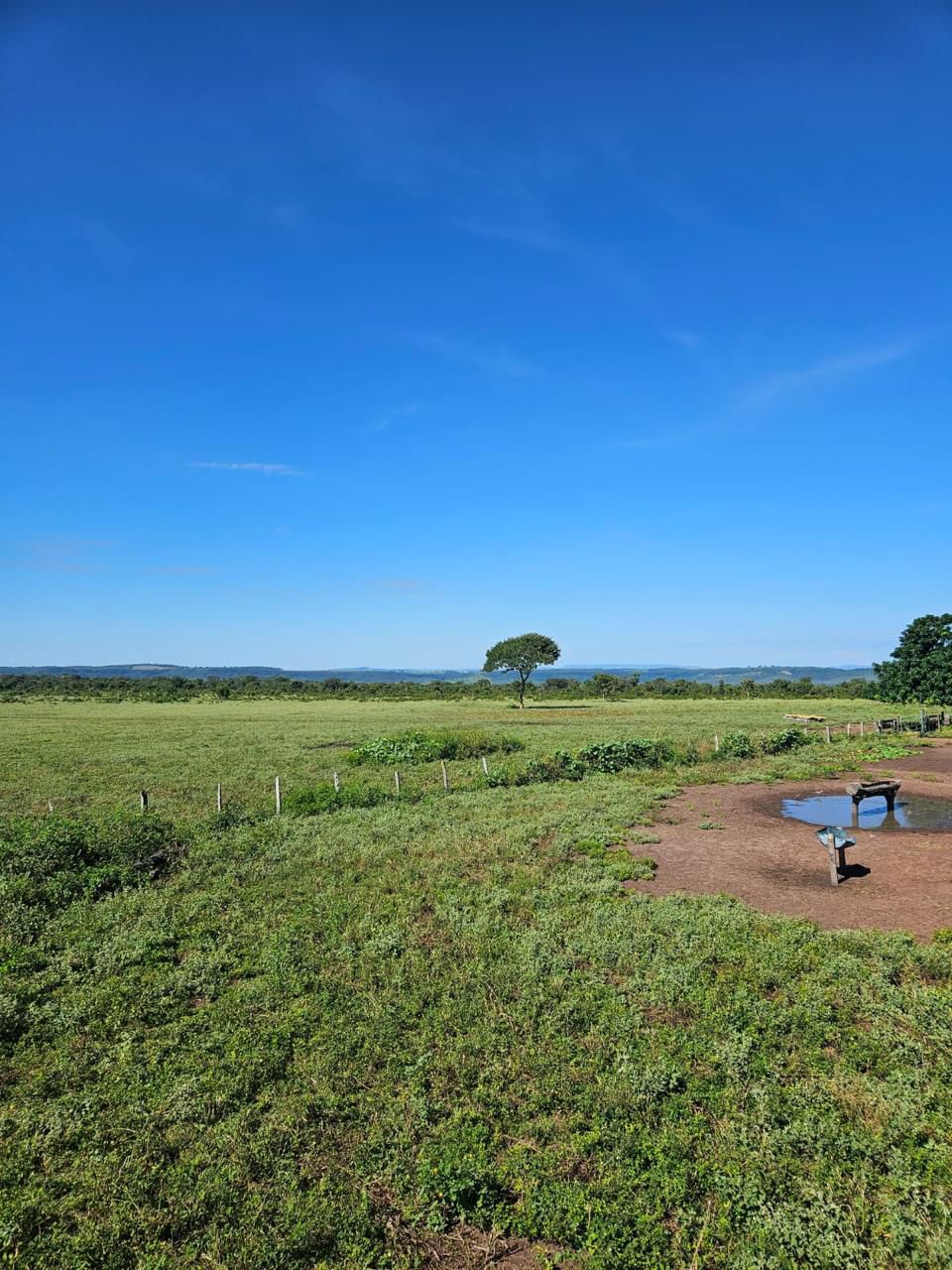 Fazenda à Venda em Baliza, GO / 5033 hectares / Área Agriculturável / 3000 hectares / Área em Pastagens /4000 hectares /Rio de Grande Porte