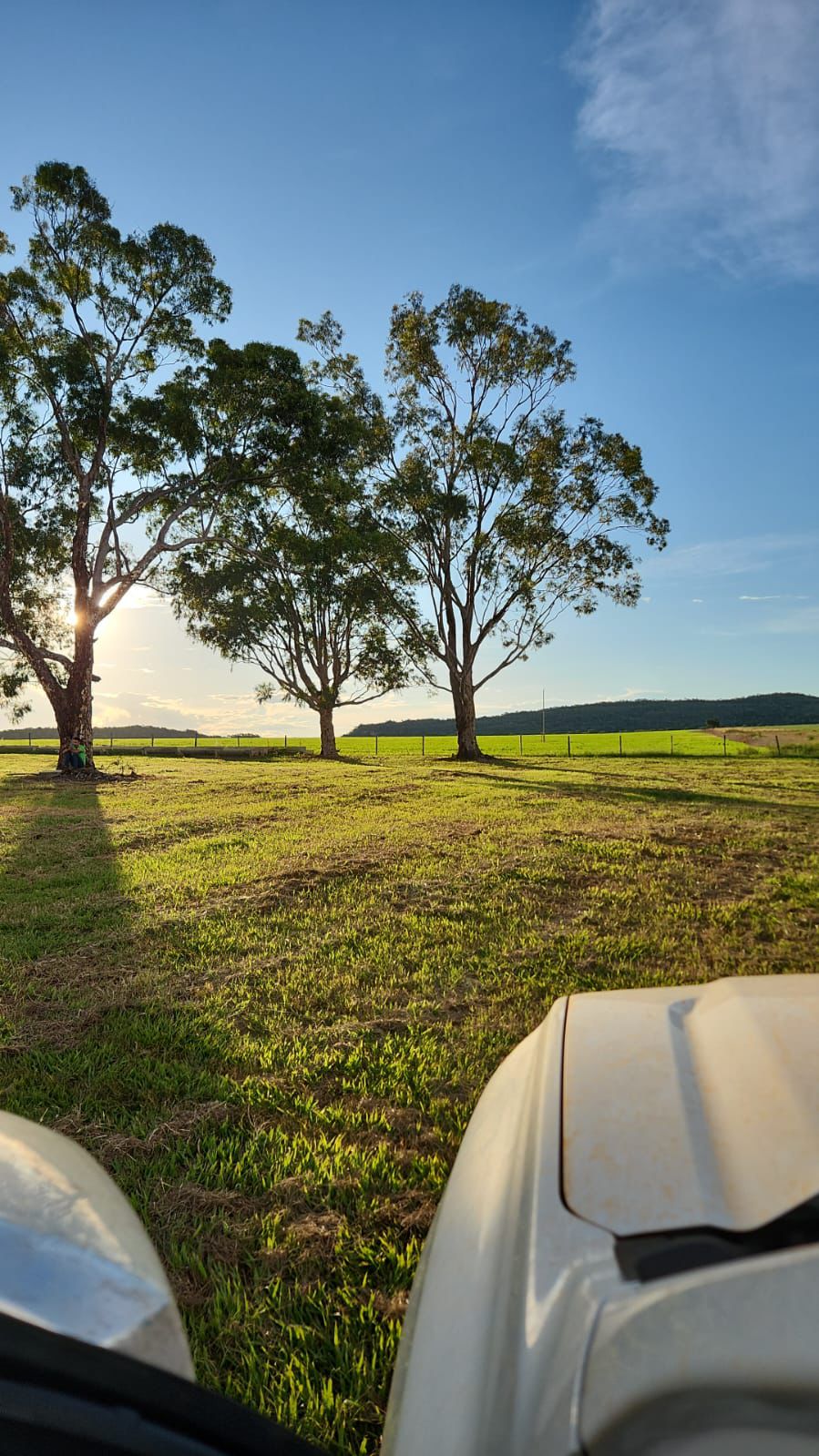 Fazenda à Venda em Baliza / GO / 1471 hectares / 1000 Hectares de Área para plantio / 400km de Goiânia / Benfeitorias Completas