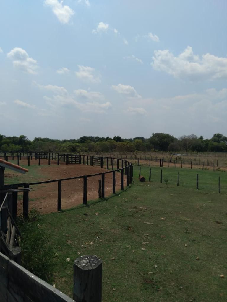 Fazenda em Ribeirão Cascalheira / MT / 11900 hectares total / Benfeitorias completas / Pista de Pouso / Rio próximo / Formada em Pastagens
