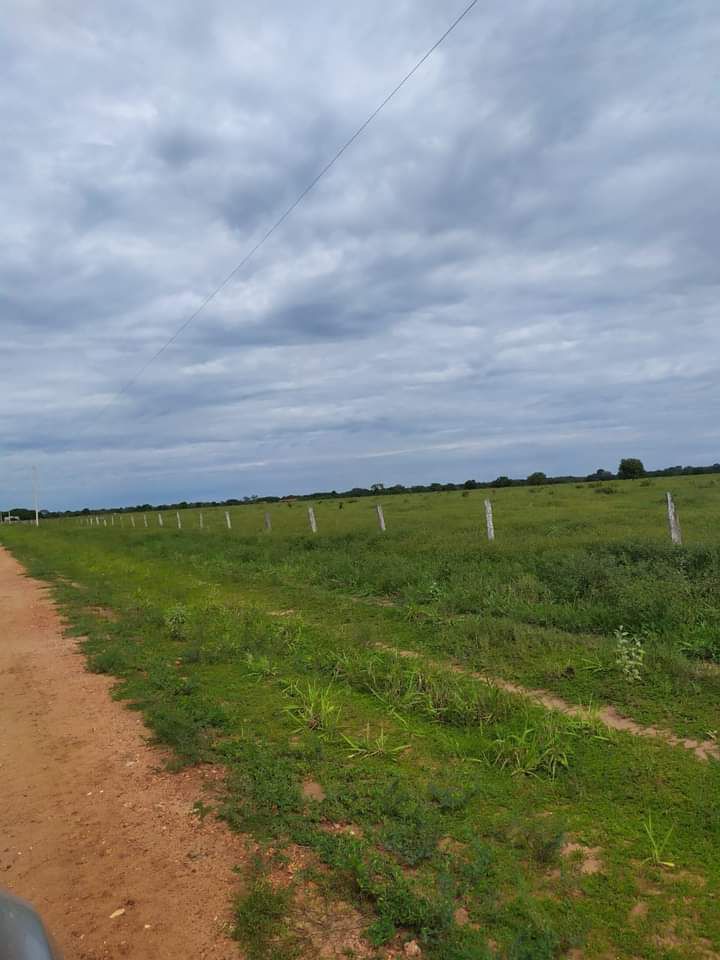 Fazenda em Ribeirão Cascalheira / MT / 11900 hectares total / Benfeitorias completas / Pista de Pouso / Rio próximo / Formada em Pastagens