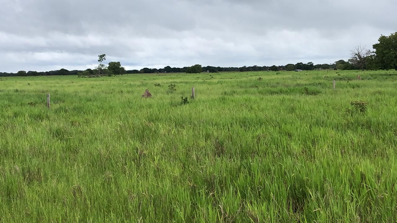 Fazenda em Ribeirão Cascalheira / MT / 11900 hectares total / Benfeitorias completas / Pista de Pouso / Rio próximo / Formada em Pastagens