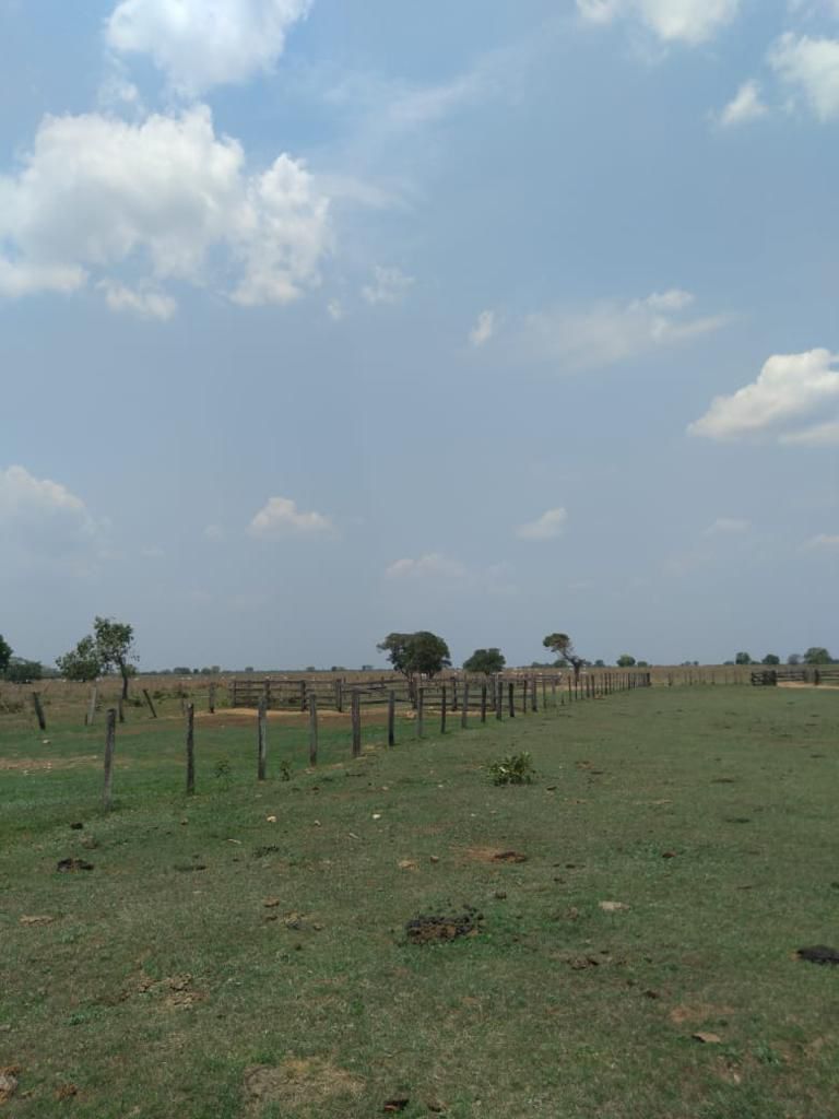 Fazenda em Ribeirão Cascalheira / MT / 11900 hectares total / Benfeitorias completas / Pista de Pouso / Rio próximo / Formada em Pastagens