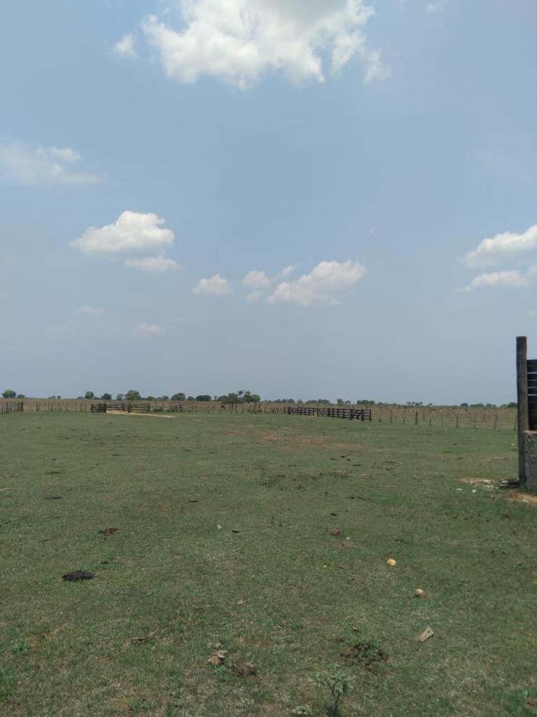 Fazenda em Ribeirão Cascalheira / MT / 11900 hectares total / Benfeitorias completas / Pista de Pouso / Rio próximo / Formada em Pastagens