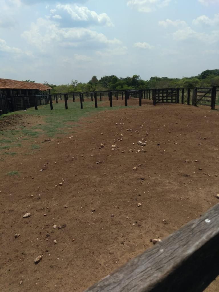 Fazenda em Ribeirão Cascalheira / MT / 11900 hectares total / Benfeitorias completas / Pista de Pouso / Rio próximo / Formada em Pastagens