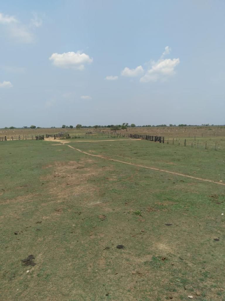 Fazenda em Ribeirão Cascalheira / MT / 11900 hectares total / Benfeitorias completas / Pista de Pouso / Rio próximo / Formada em Pastagens