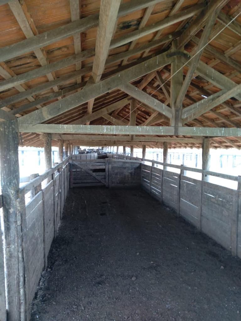 Fazenda em Ribeirão Cascalheira / MT / 11900 hectares total / Benfeitorias completas / Pista de Pouso / Rio próximo / Formada em Pastagens