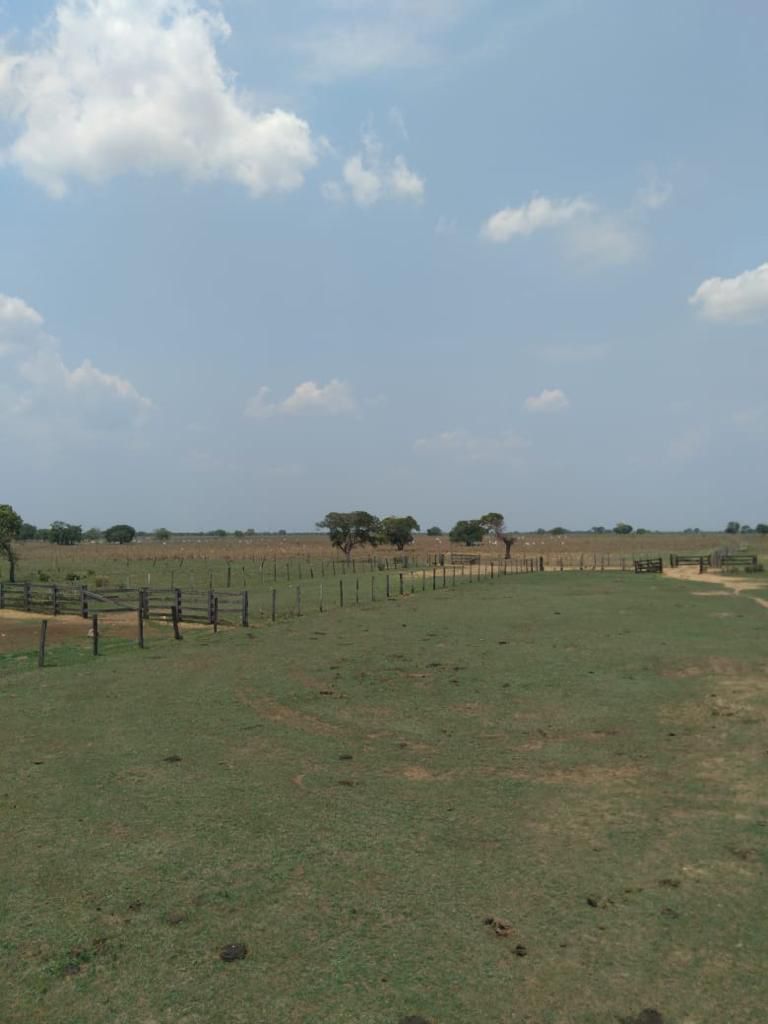 Fazenda em Ribeirão Cascalheira / MT / 11900 hectares total / Benfeitorias completas / Pista de Pouso / Rio próximo / Formada em Pastagens