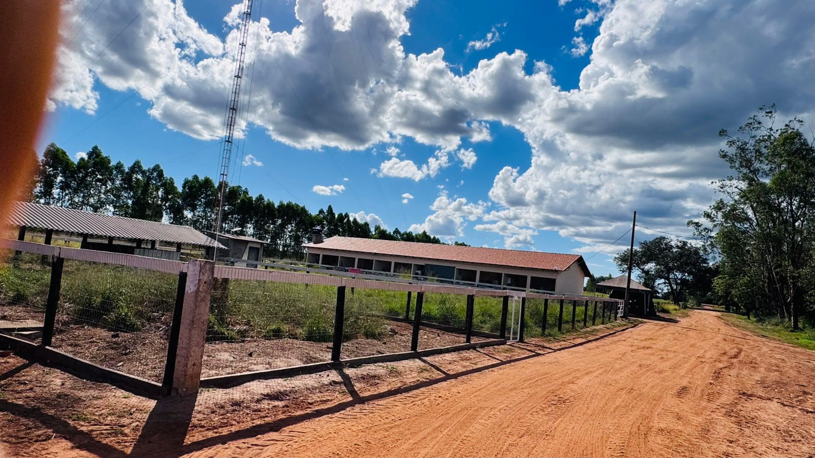 Fazenda à Venda em Aruanã, GO / Dupla Aptidão / Área Total / 13.765 hectares / Área em Pastagens 9.300 hectares / Área em Agricultura 900 hectares