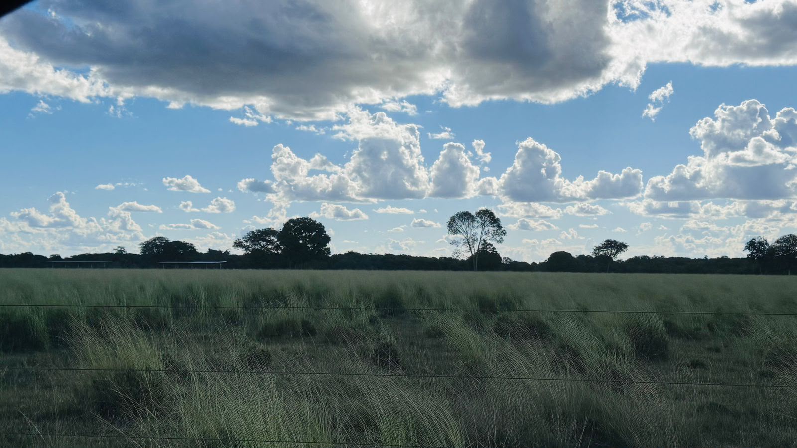 Fazenda à Venda em Aruanã, GO / Dupla Aptidão / Área Total / 13.765 hectares / Área em Pastagens 9.300 hectares / Área em Agricultura 900 hectares