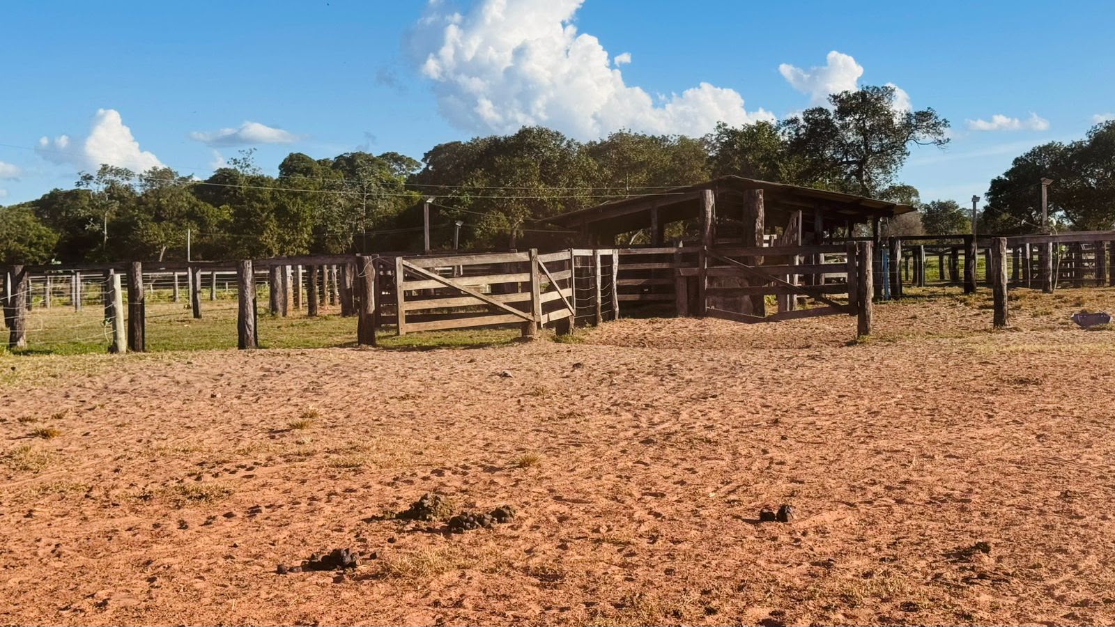 Fazenda à Venda em Aruanã, GO / Dupla Aptidão / Área Total / 13.765 hectares / Área em Pastagens 9.300 hectares / Área em Agricultura 900 hectares