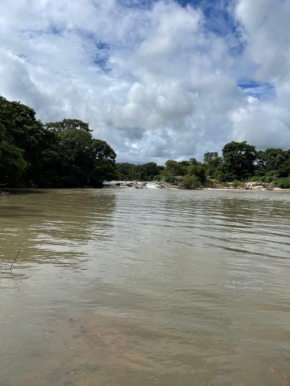 Fazenda à Venda na Região do Vale do Araguaia / 9.975 hectares de área total / 150 divisões de pasto / 1000 cabeças de gado de confinamento / Mozarlândia