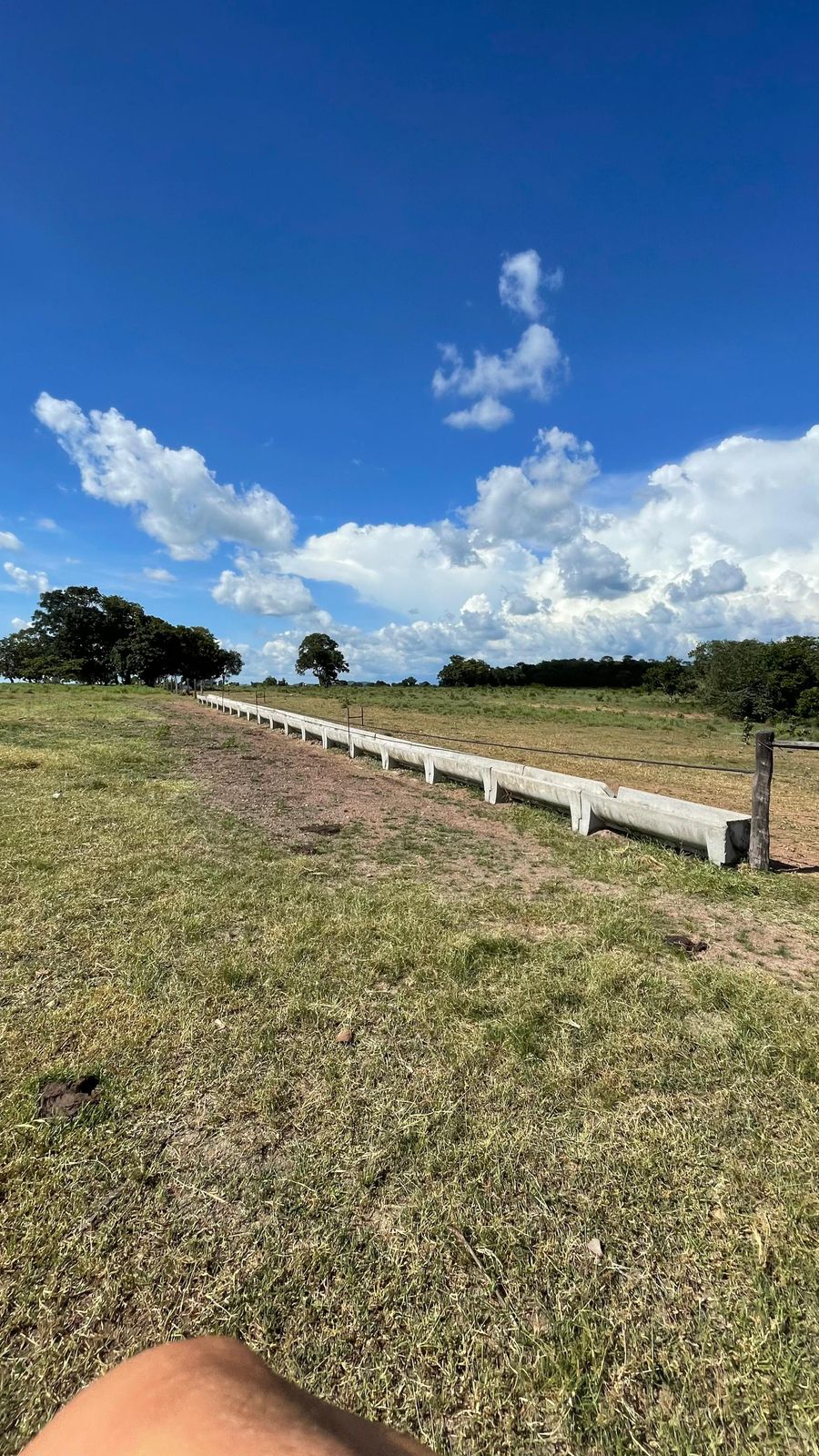 Fazenda à Venda na Região do Vale do Araguaia / 9.975 hectares de área total / 150 divisões de pasto / 1000 cabeças de gado de confinamento / Mozarlândia