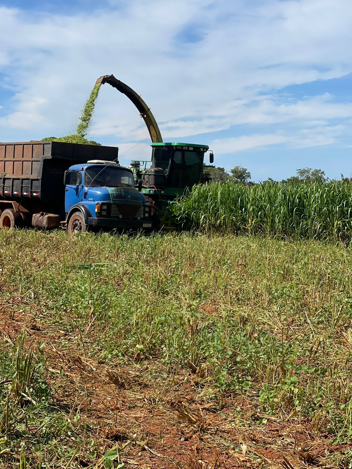 Fazenda à Venda em Serranópolis / 3038 hectares de área total / 1200 hectares de área em lavouras / benfeitorias completas / 2.429 hectares de área aberta