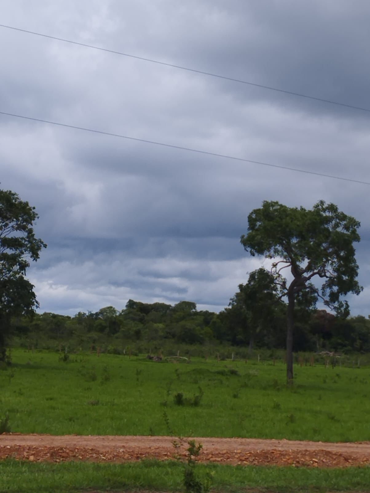Fazenda à Venda em Serranópolis / 3038 hectares de área total / 1200 hectares de área em lavouras / benfeitorias completas / 2.429 hectares de área aberta