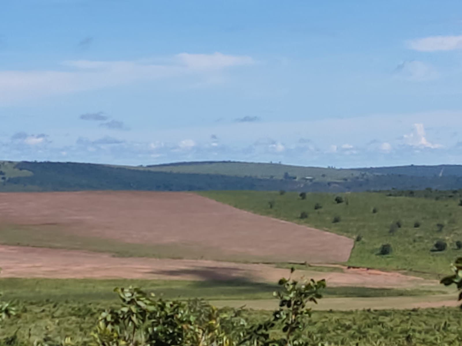 Fazenda à Venda em Serranópolis / 3038 hectares de área total / 1200 hectares de área em lavouras / benfeitorias completas / 2.429 hectares de área aberta