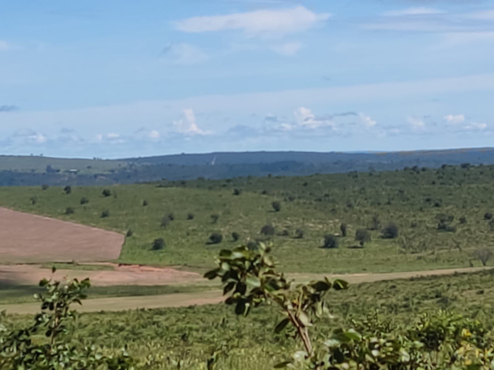 Fazenda à Venda em Serranópolis / 3038 hectares de área total / 1200 hectares de área em lavouras / benfeitorias completas / 2.429 hectares de área aberta