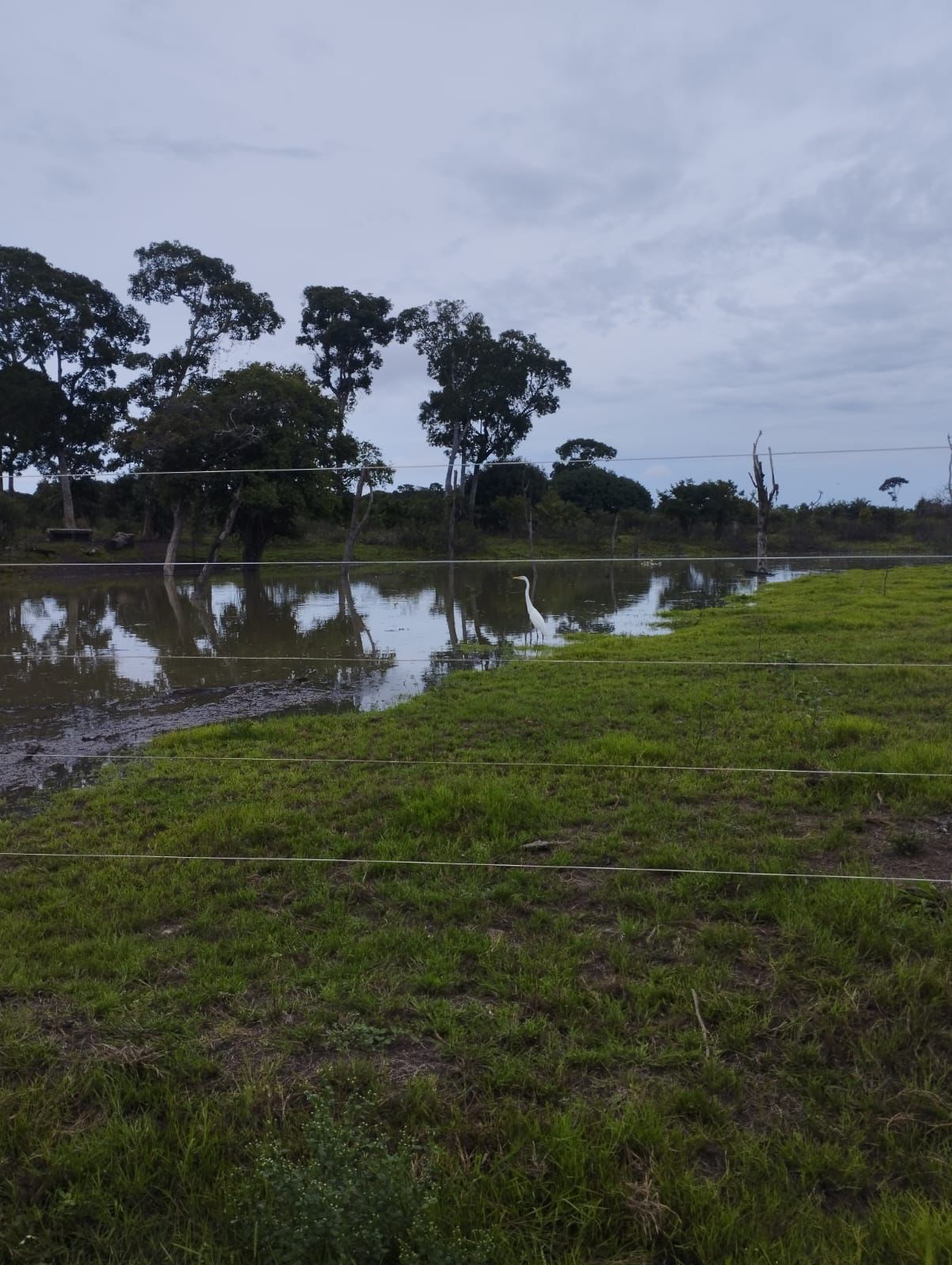 Fazenda à Venda em Serranópolis / 3038 hectares de área total / 1200 hectares de área em lavouras / benfeitorias completas / 2.429 hectares de área aberta