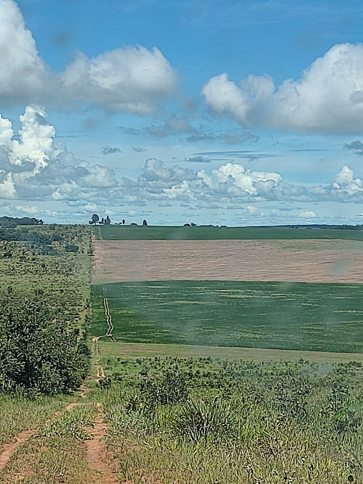 Fazenda à Venda em Serranópolis / 3038 hectares de área total / 1200 hectares de área em lavouras / benfeitorias completas / 2.429 hectares de área aberta