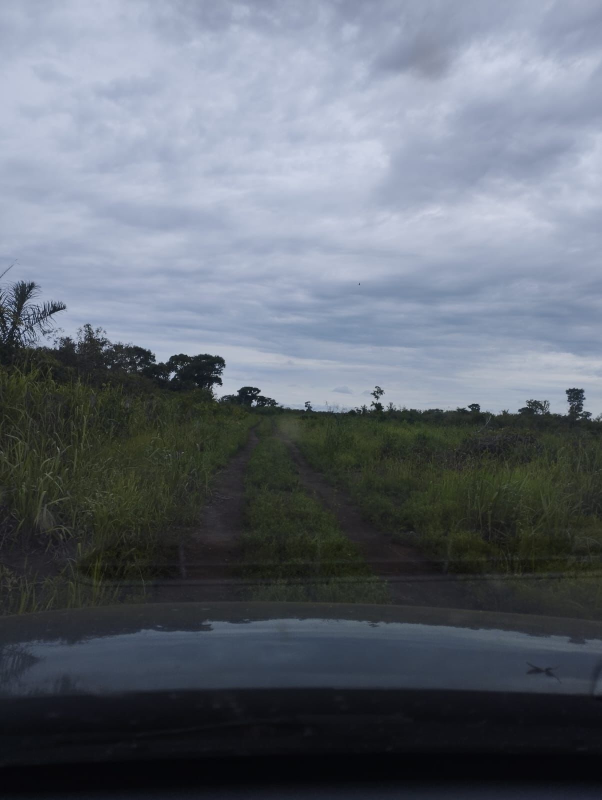 Fazenda à Venda em Serranópolis / 3038 hectares de área total / 1200 hectares de área em lavouras / benfeitorias completas / 2.429 hectares de área aberta