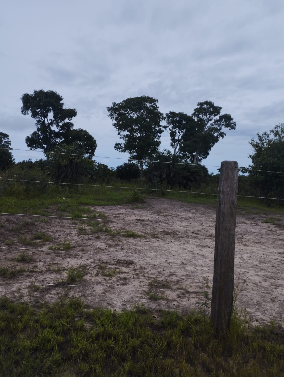 Fazenda à Venda em Nova Crixás, GO / 4080 hectares de área total / 2904 hectares de área aberta / 9 km do Rio Araguaia