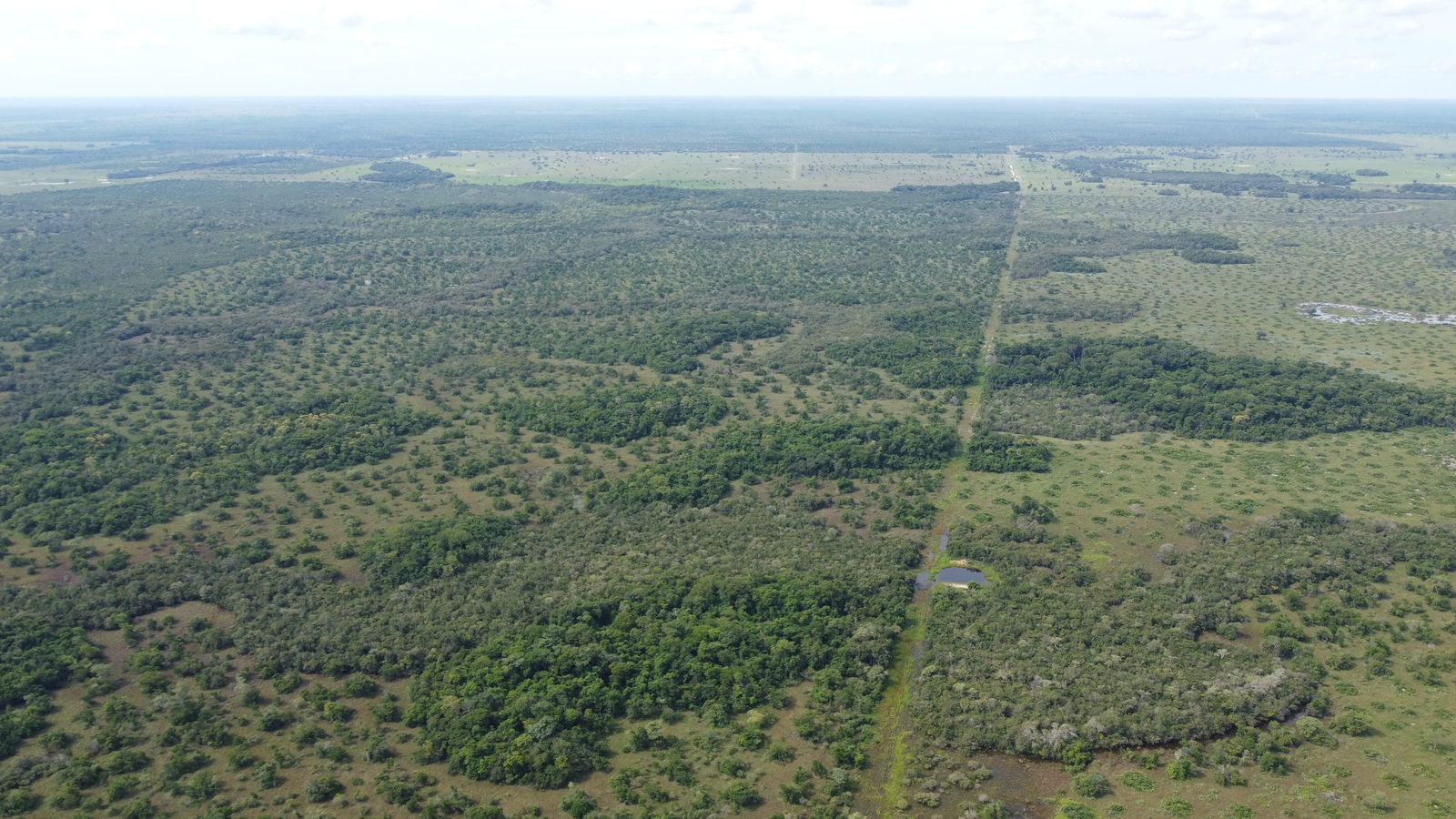 Fazenda à Venda em Araguaiana - MT / 4.158 hectares de área total / 2.900 hectares de área de pastagem / 23 divisões de pasto / curral com brete e balança / galpão de máquinas