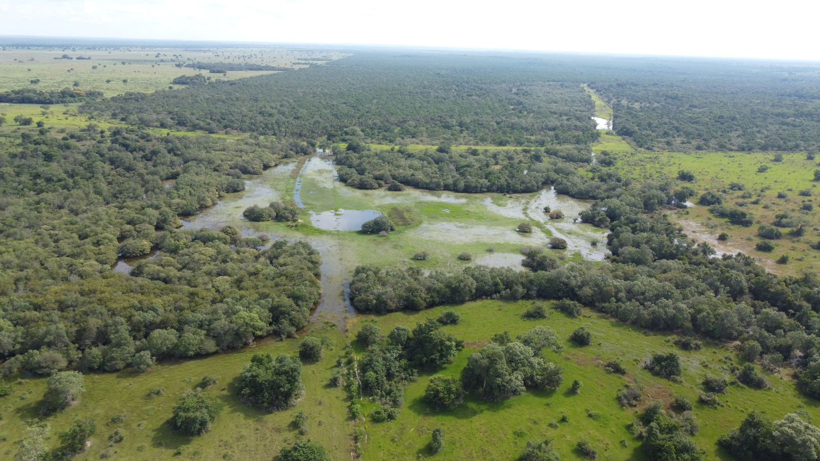 Fazenda à Venda em Araguaiana - MT / 4.158 hectares de área total / 2.900 hectares de área de pastagem / 23 divisões de pasto / curral com brete e balança / galpão de máquinas